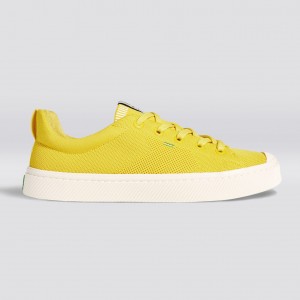 Cariuma Low Top Bamboo Weave Knit Vegan IBI Panske Žlté | 62301-UQRB