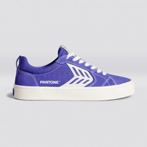 Cariuma Low Top Canvas CATIBA PRO Damske Very Peri Contrast / Ivory Canvas | 54310-YIHU