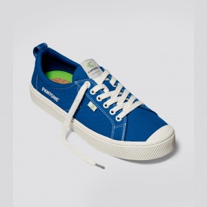 Cariuma Low Top Canvas OCA LOW Panske Modre | 01582-XCIM