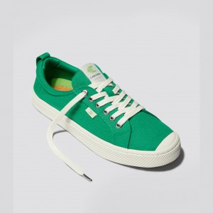 Cariuma Low Top Platene Vegánske OCA LOW Panske Zelene | 50689-DTMS