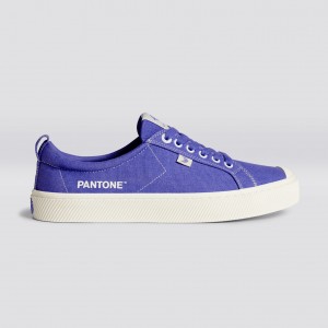 Cariuma Low Top Platene Vegánske OCA LOW Panske Very Peri / Off-White Canvas | 62709-MRDK