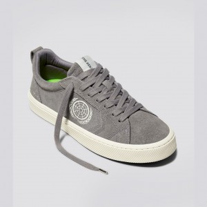 Cariuma Low Top Suede CATIBA PRO Panske Siva | 61798-AJFP