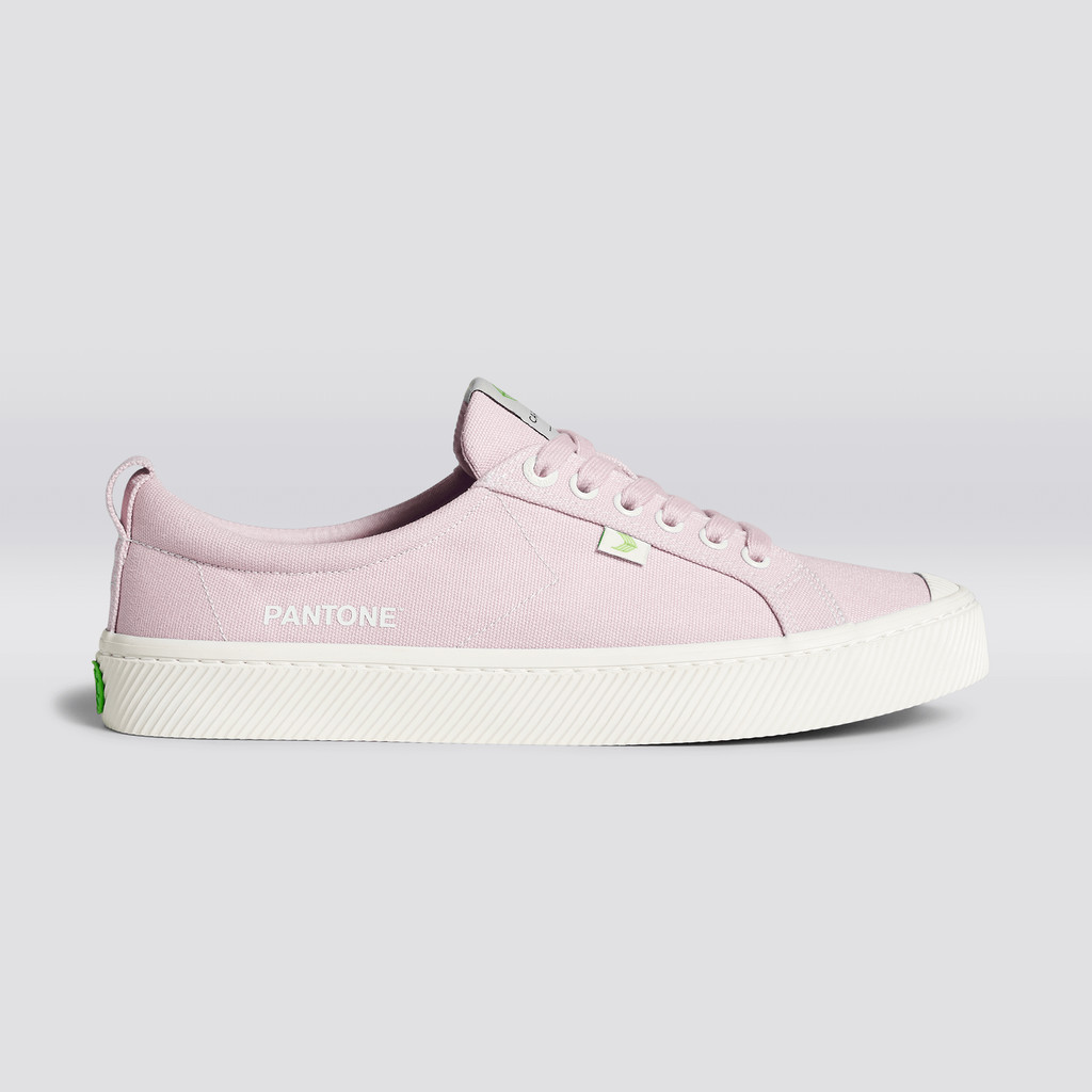 Cariuma Low Top Canvas OCA LOW Panske Pale Lilac | 81256-JANB